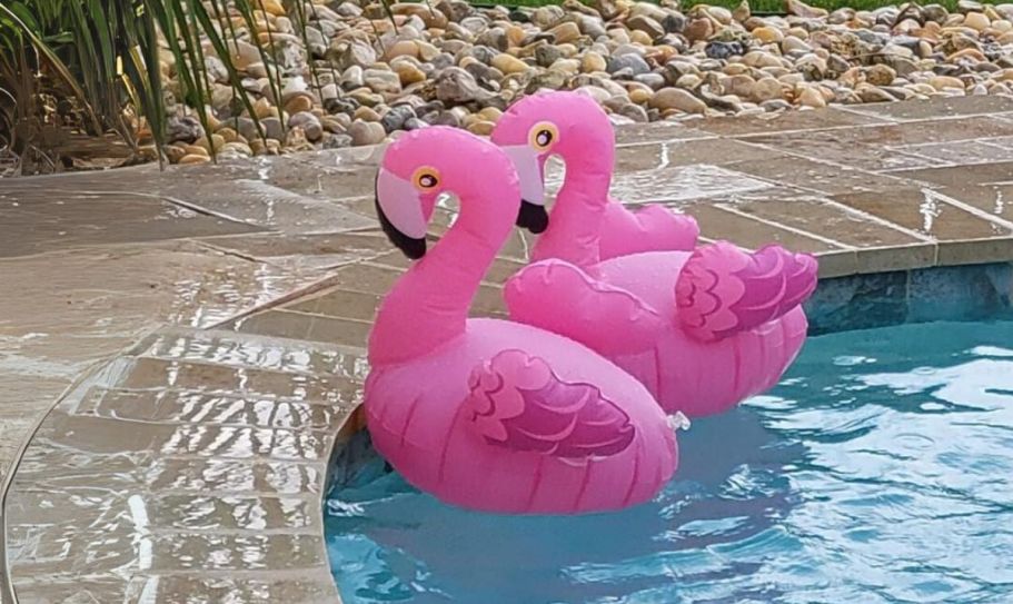 Brighten Up Your Yard with These Flamingo Pool Lights | 2-Pack Only $11.49 on Amazon!