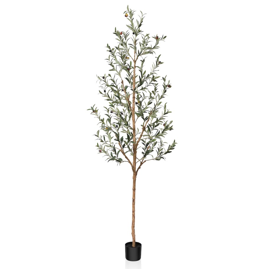 Stock photo of fake olive tree