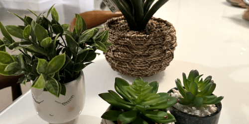 15 Affordable Walmart Faux Plants – ALL Under $15!