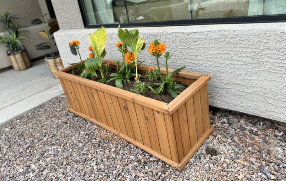 wooden planter box filled with yellow and orange flowers, next to a house