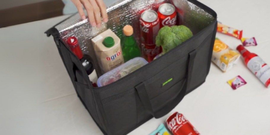 Insulated Shopper Bags from $9.99 on Amazon (Reg. $20)