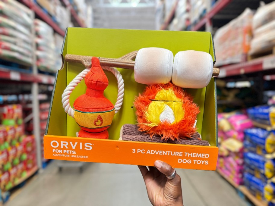 hand holding a box with campfire themed dog toys 