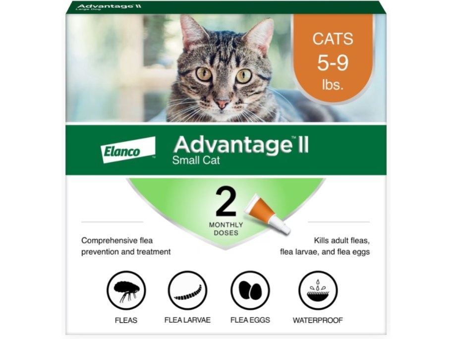 box of Advantage II for Cats flea and tick medicine