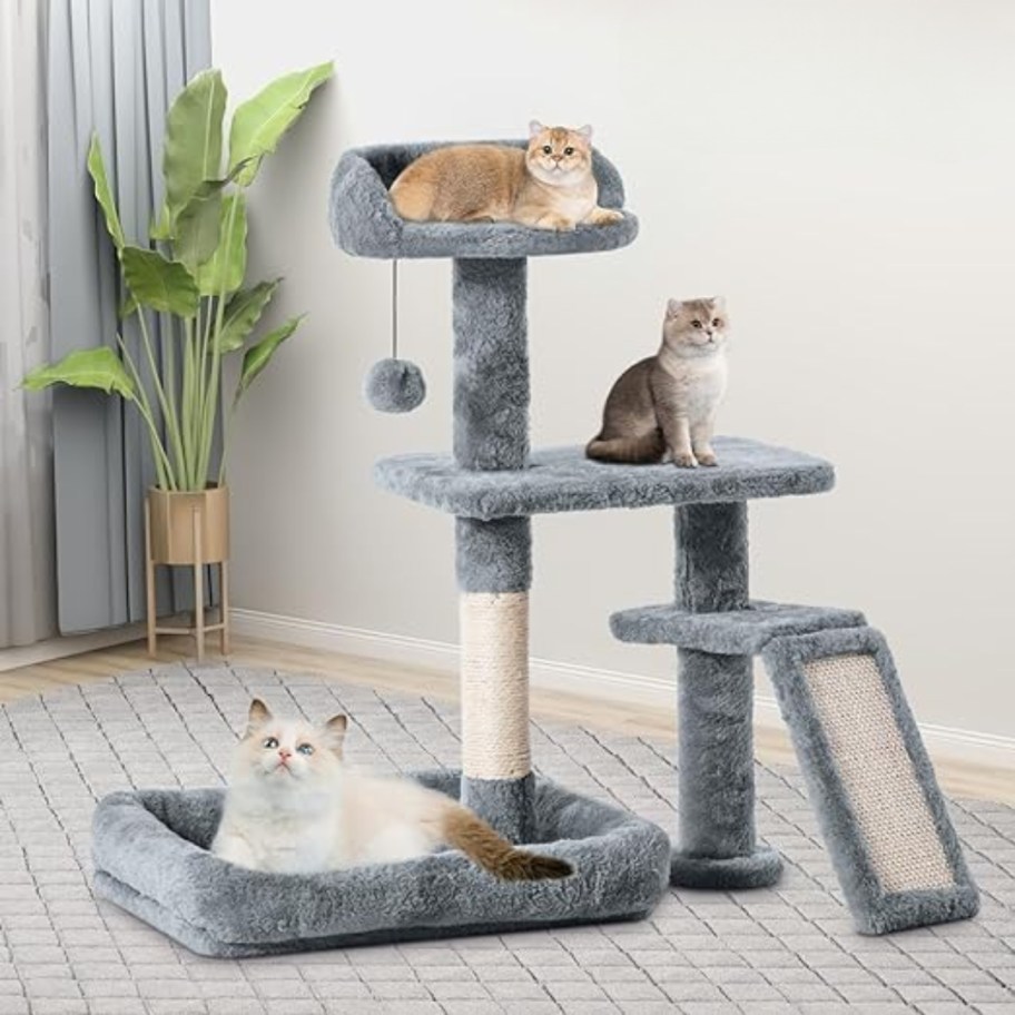 cats playing on a grey cat tree activity tower condo
