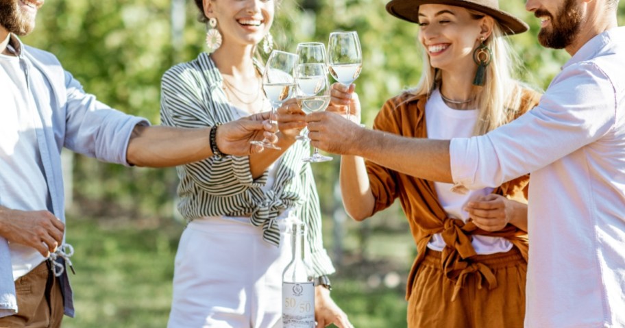 four people at a vineyard winery tour toasting each other with wine glasses