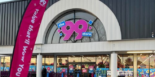 The 99 Cent Stores Are Closing (Shop The Going Out Of Business Sale Now!)