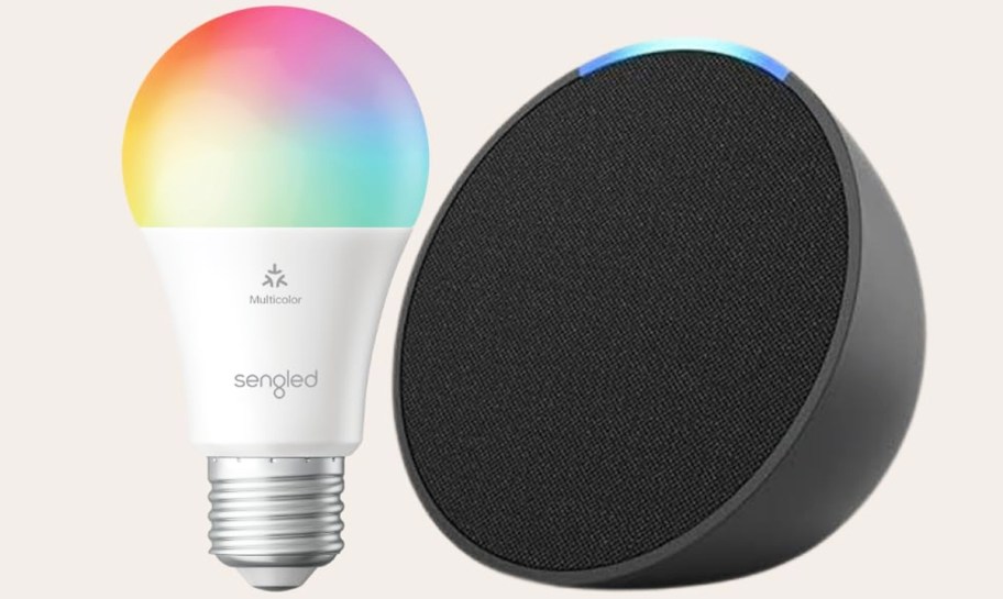 grey echo pop speaker and smart bulb