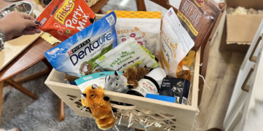 Amazon’s Pet Day Deals | Save Big on Treats, Toys, Accessories, & More