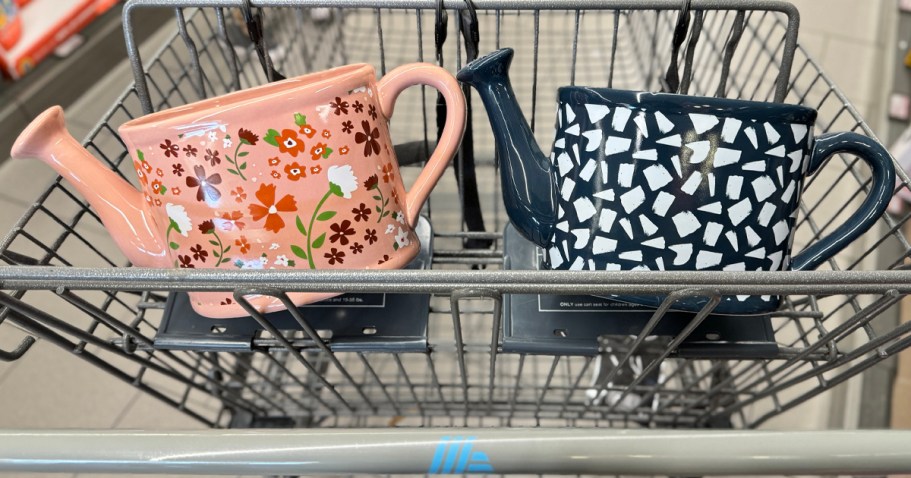 New ALDI Weekly Finds | Watering Can Planters ONLY $9.99 + More!