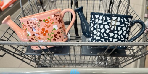 New ALDI Weekly Finds | Watering Can Planters ONLY $9.99 + More!