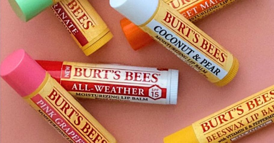 Extra Savings on Burt’s Bees + FREE Lip Balm w/ ANY Purchase | Gift Sets ONLY $3.40