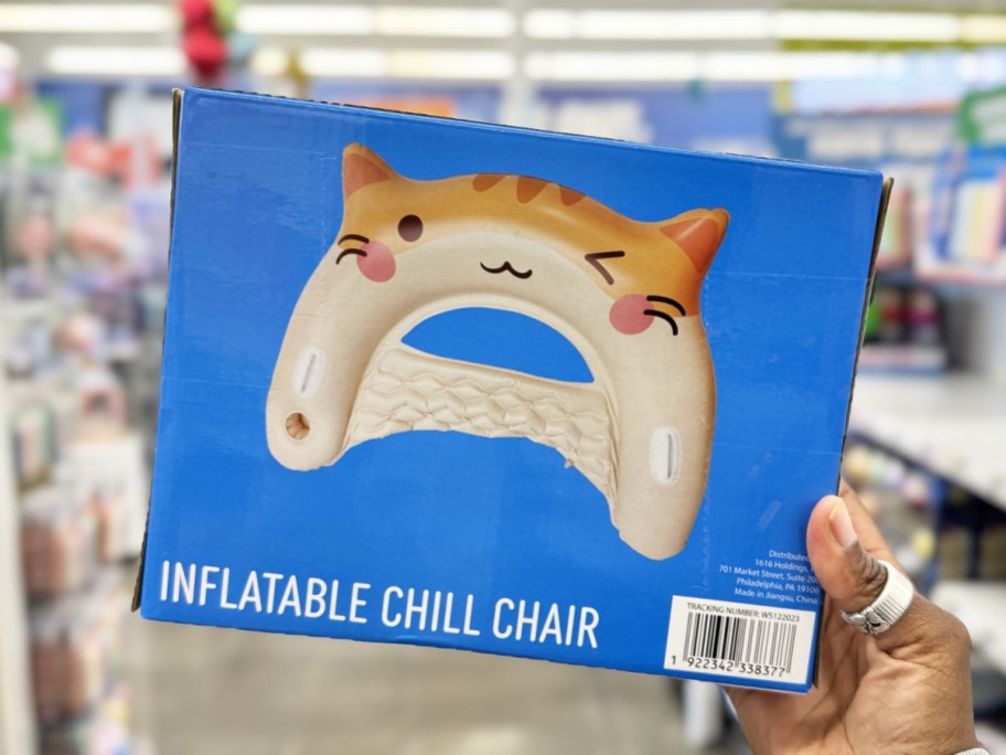 hand holding up a cat inflatable pool chair