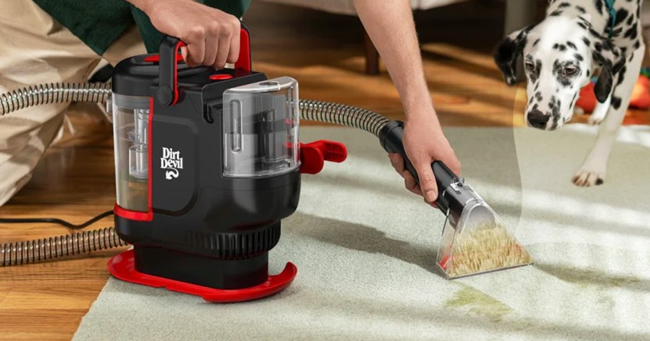 a woman cleaning a spot on a rug with a spot cleaning vacuum while a Dalmatian looks on