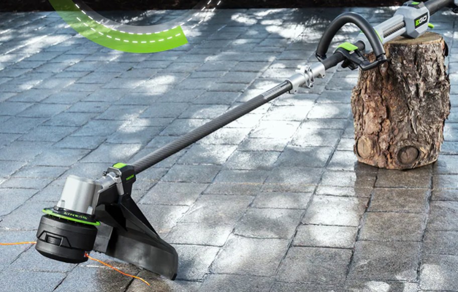 yard trimmer propped up on tree stump
