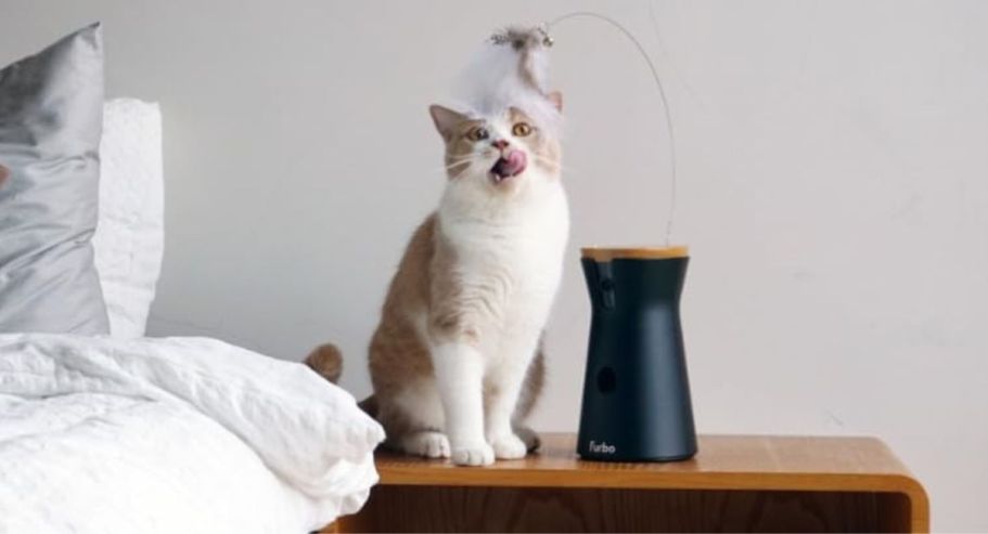 Furbo 360° Cat Camera & Treat Dispenser Only $79 Shipped for Amazon Prime Members