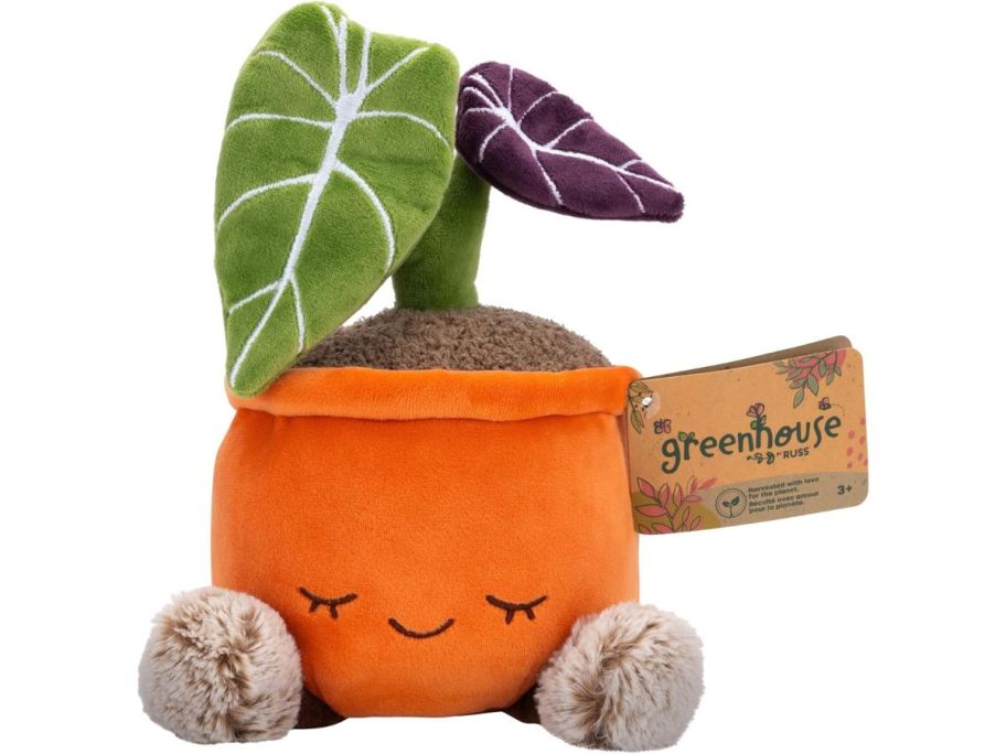 A succulent plush toy