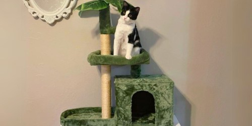 Cat Scratching Post Activity Tree Towers from $21.99 Shipped on Amazon