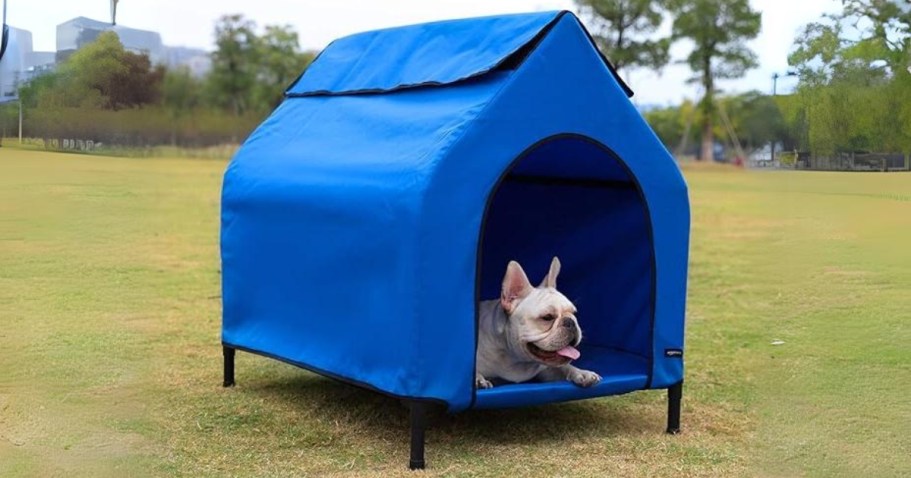 Elevated Portable Pet House Kennel Just $24.99 Shipped (Regularly $60)