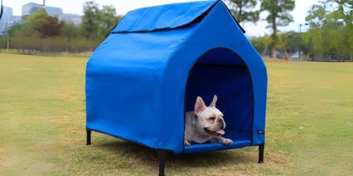 Elevated Portable Pet House Kennel Just $24.99 Shipped (Regularly $60)