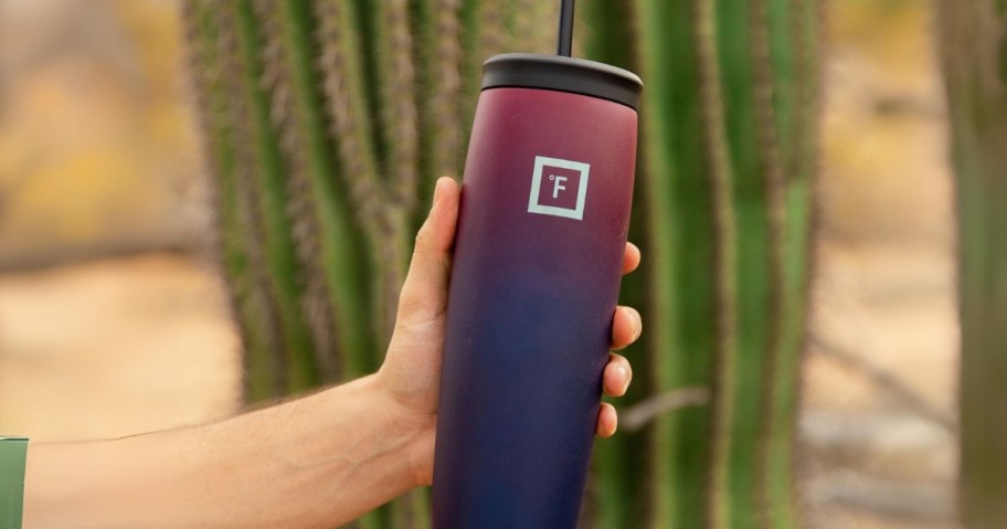 hand holding a purple ombre Iron Flask Tumbler with straw