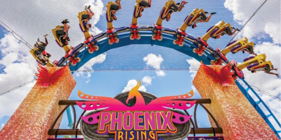 Busch Gardens 1-Day Ticket + FREE Meal Only $71.99 (Reg. $170)