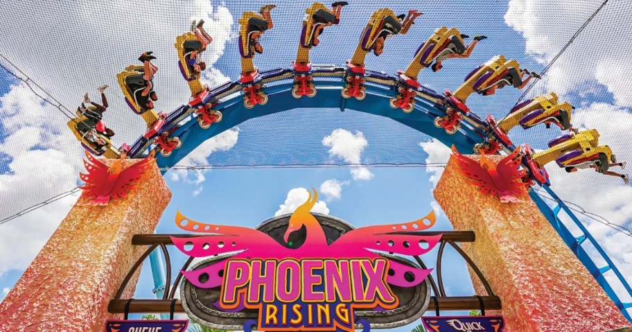 Phoenix Rising rollercoaster at Busch Gardens Tampa Bay, showing the entrance and sign and people riding the coaster above the entrance sign