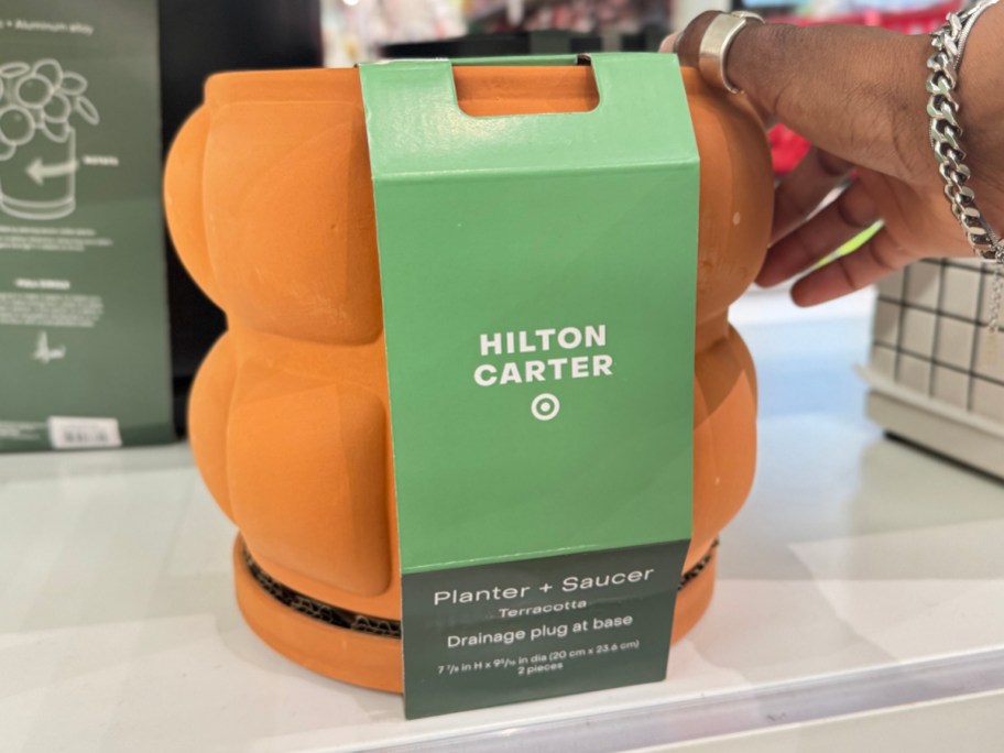 Hilton Carter for Target Terracotta Embossed Ceramic Indoor Outdoor Planter Pot