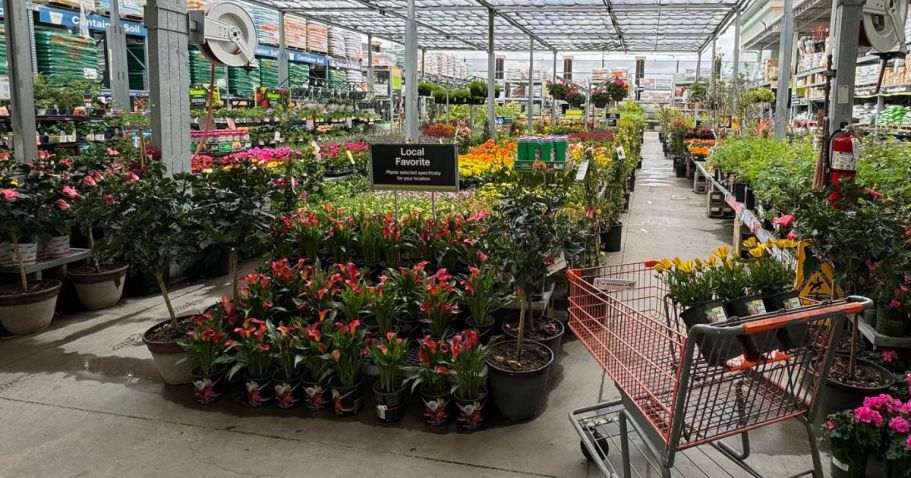 Home Depot Spring Black Friday Sale *Ends Tonight* | $4 Perennials, 25¢ Pavers, + More!