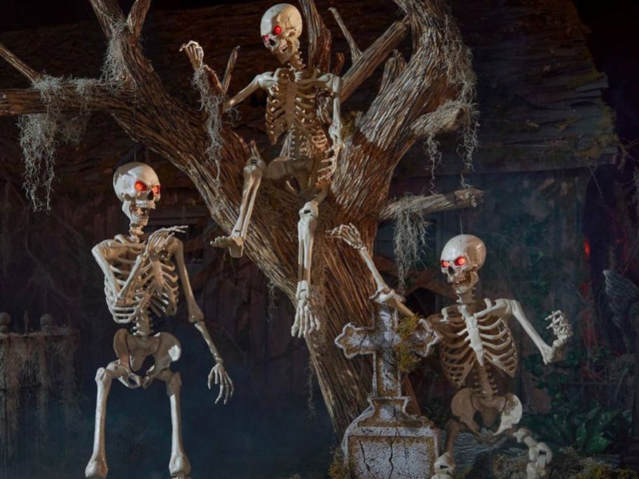 3 Poseable Halloween Skeleton Decoration on a tree