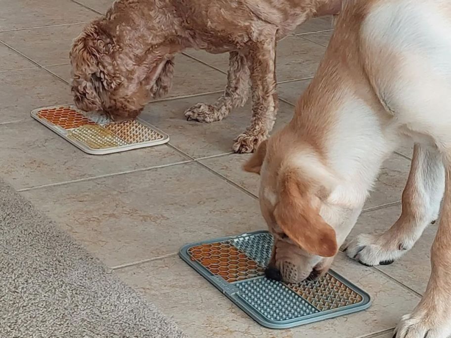 Two dogs using MateeyLife Large Lick Mat for Dogs & Cats w/ Suction Cups