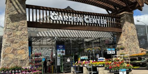 Lowe’s Annual SpringFEST Sale | $2 Soil & Mulch, Hot Buys on Plants + More NEW Deals