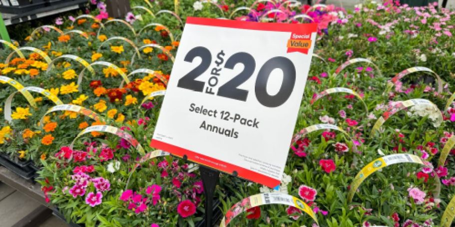 Shop Lowe’s SpringFEST Sale NOW | $2 Mulch & Soil, 25¢ Pavers & More