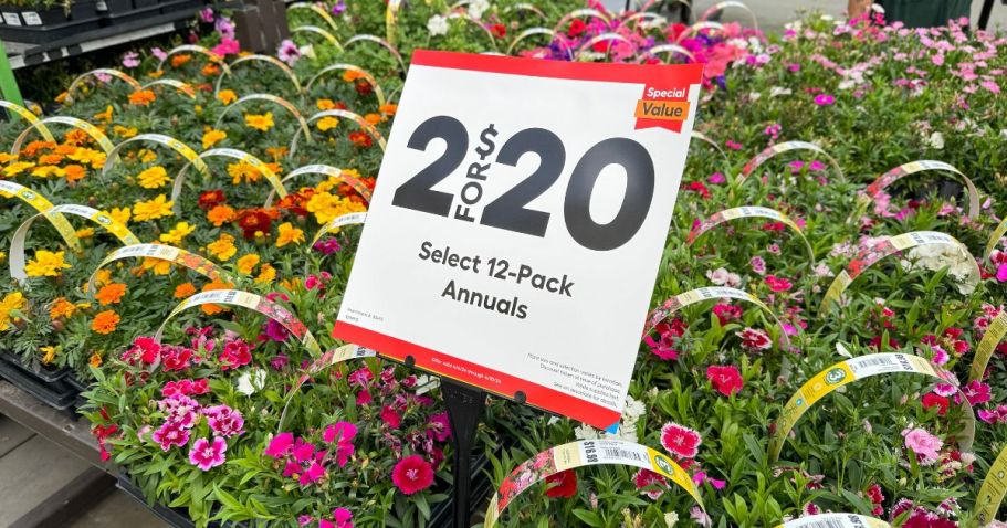 Shop Lowe’s SpringFEST Sale NOW | $2 Mulch & Soil, 25¢ Pavers & More