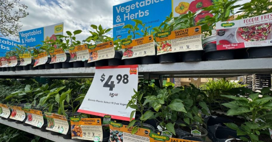 Lowe's Vegetable and Herbs