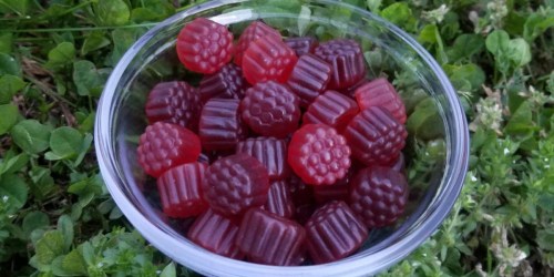 Sambucus Elderberry Gummies 60-Count Bottle ONLY $12.80 Shipped on Amazon + More Vitamin Deals