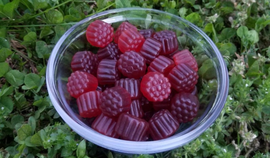 65% Off Lunakai Gummies on Amazon – Elderberry 60-Count Bottle $10 Shipped