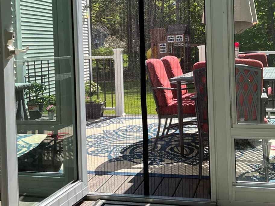 magnetic screen door with a view to a backyard