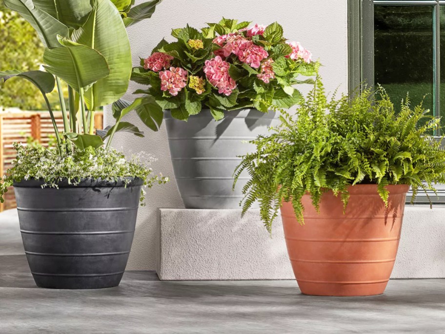 black, grey, and brown planters with flowers inside