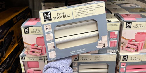 Mini Steel Toolbox Only $22.78 on SamsClub.com (Great for Crafts, Makeup & More)