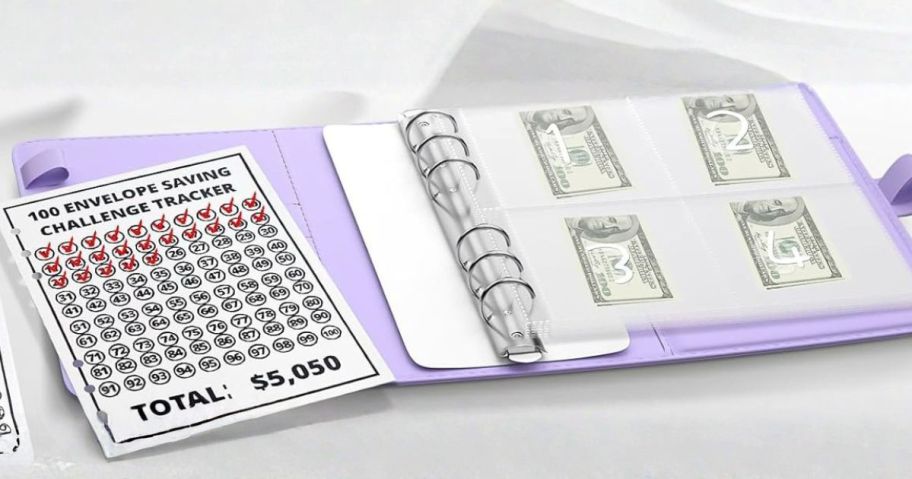 Nooydio 100 Envelopes Money Saving Challenge Binder & Budget Planner