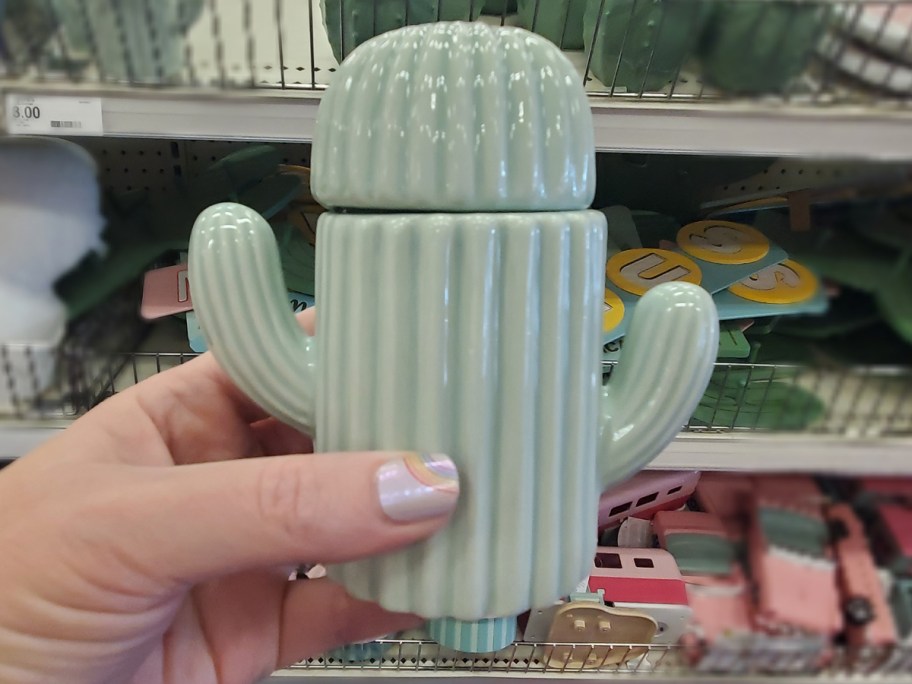 Novelty Cactus Container