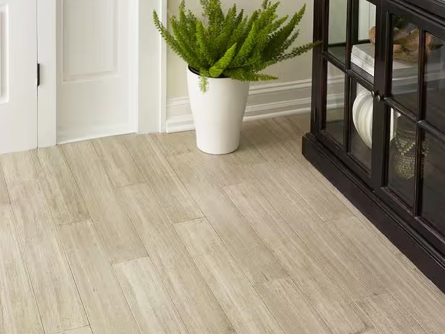 light wood flooring with potted plant