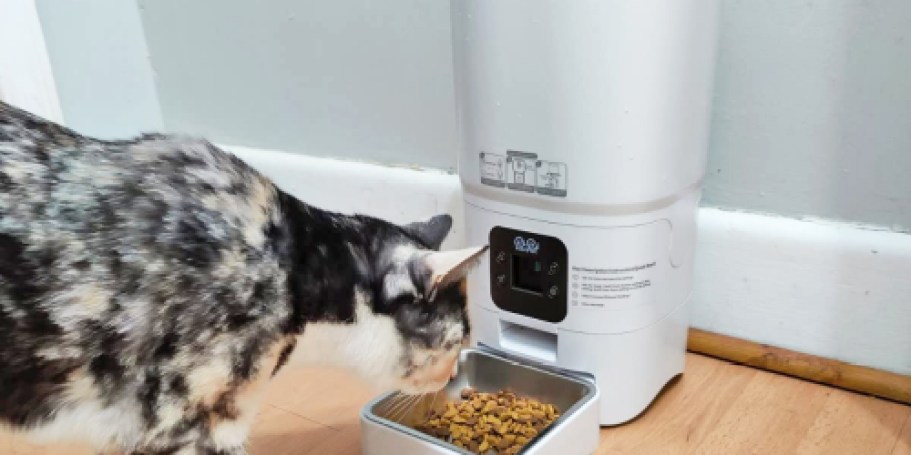 Automatic Pet Food Dispenser Only $24.99 Shipped (Reg. $83)