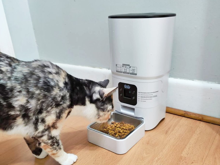 Automatic Pet Food Dispenser Only $24.99 Shipped (Reg. $83)