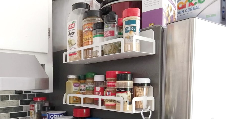 Magnetic Spice Racks on the side of a refrigerator 