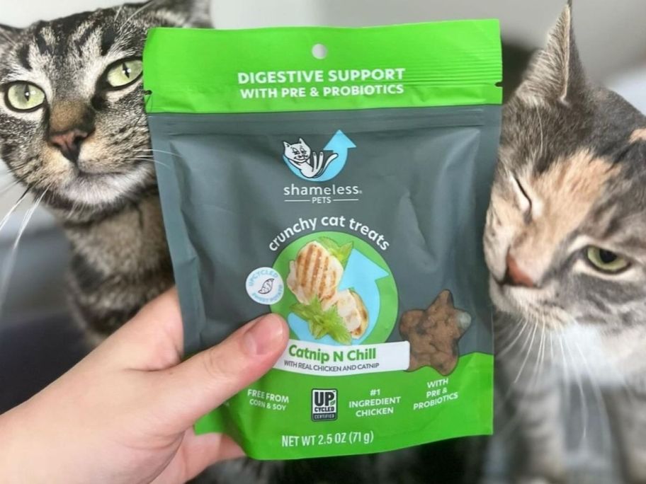 2 cats rubbing up against a bag of Shameless Pet treats