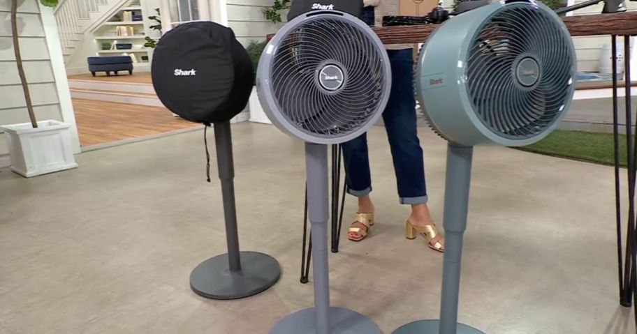 3 Shark FlexBreeze fans lined up in front of a table
