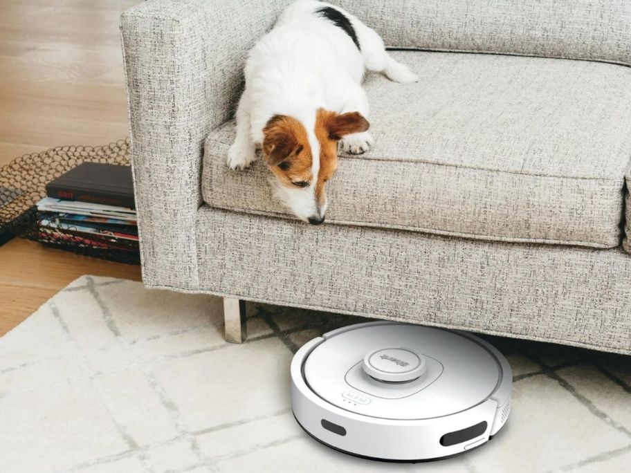 Dog watching a shark robot vacuum go under a couch