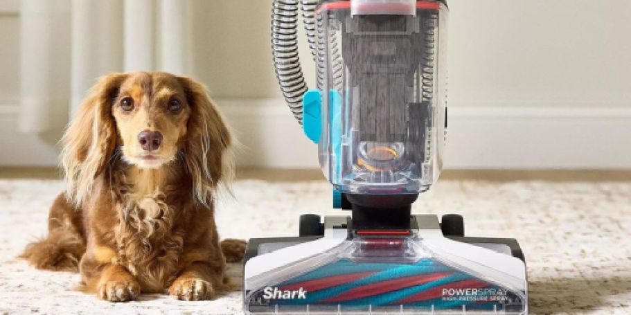 Shark Ultimate Floor Care Bundle Just $233.95 Shipped ($370 Value) | Carpet Cleaner, Steam Mop, & More