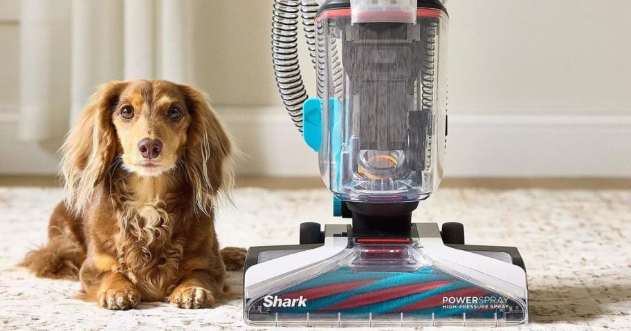 Shark Carpet Cleaner next to a Dog